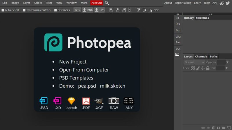 Bilgisayarı Kasmayan Ücretsiz Photoshop Programı